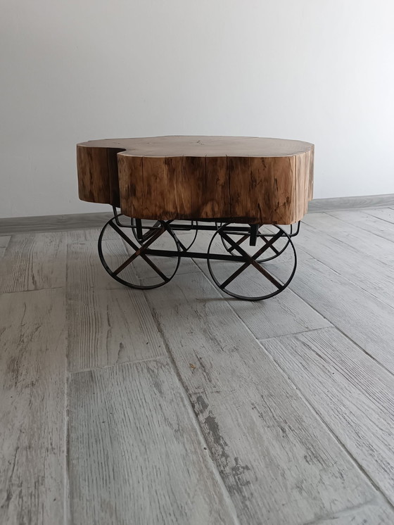 Image 1 of Acacia Ember – L’anima della natura preservata