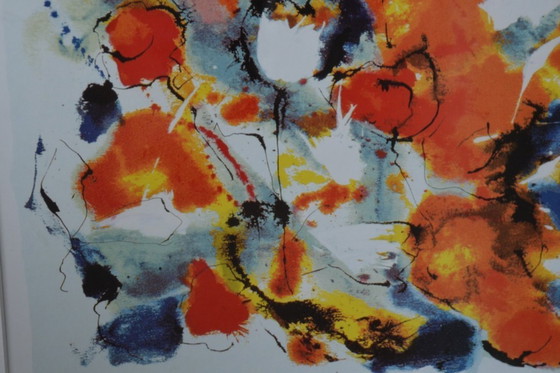 Image 1 of White Tulip - By Nic Jonk