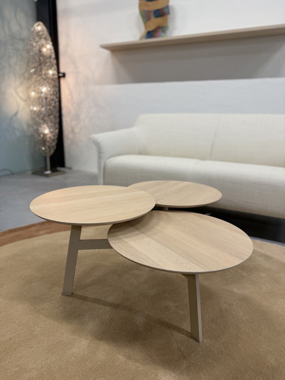 Image 1 of Leolux Ninfea Rondo Couchtisch aus Eichenholz