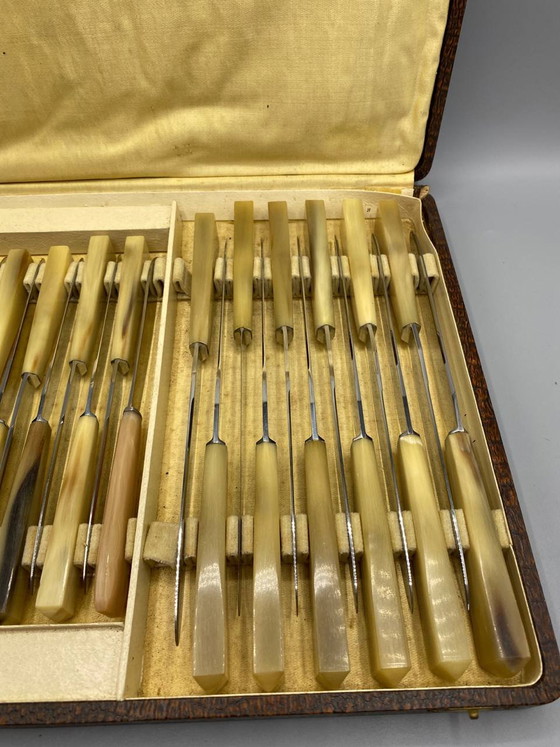25 Chabrier-Messer mit hellen Horngriffen in Originalverpackung – Besteckkassetten, Canvas (photo 2 of 5)