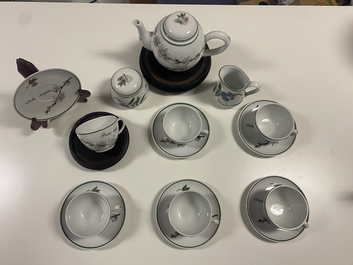 Apilco Elysian Garden Tableware