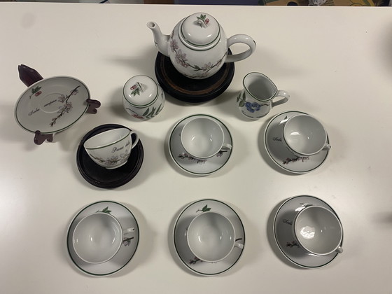 Image 1 of Apilco Elysian Garden Tableware