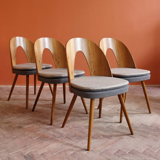 Image 1 of Sillas icónicas de Antonín Šuman con respaldos curvos chapados en madera, estilo moderno de mediados de siglo, década de 1960.