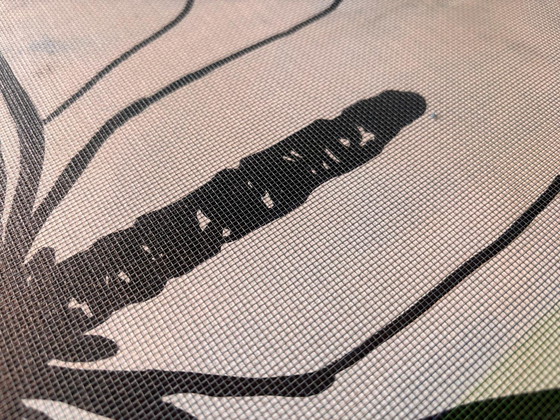 Image 1 of Elio - Mosca humana