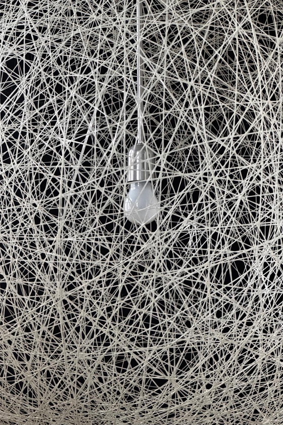 Image 1 of Random Light van Moooi maat M