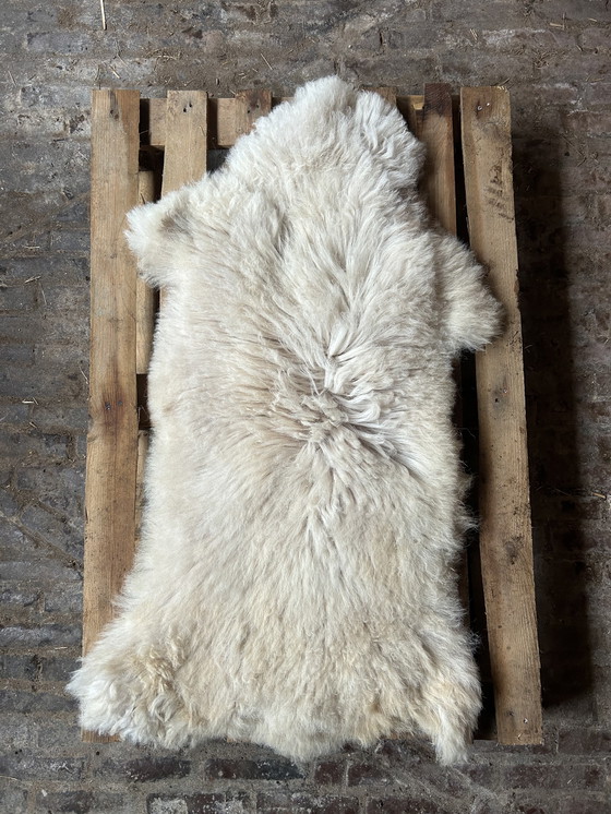 Image 1 of Piel de oveja blanca natural | 120x60x7cm