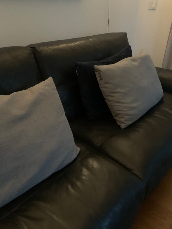 Image 1 of Sofa Couch Rolf Benz, RB 50, 4-Sitzer, Leder, Super Zustand