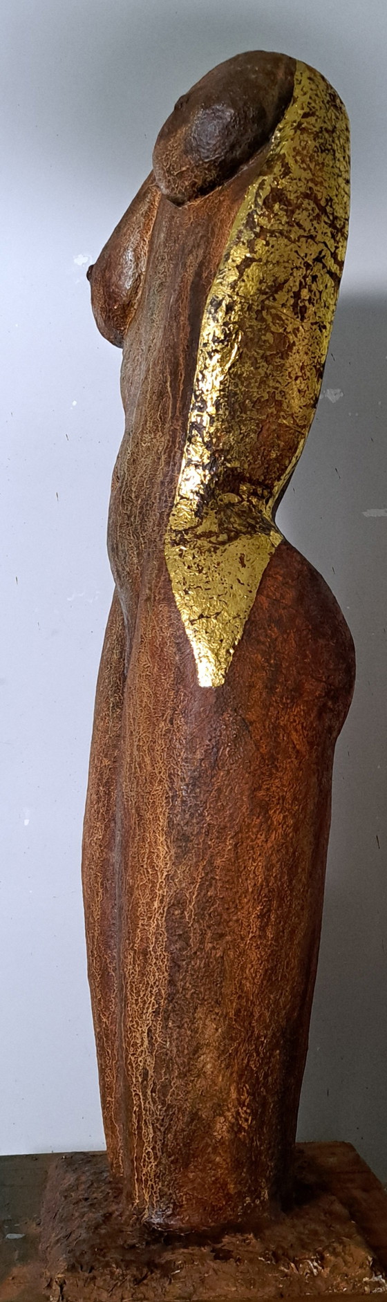 Image 1 of Torse