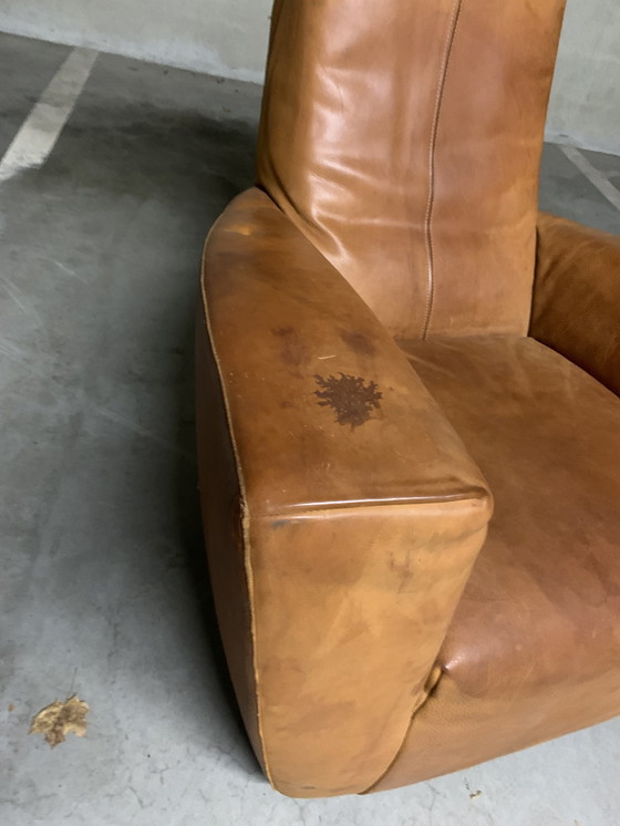 Image 1 of « LONGA » Gerard van den Berg avec harnais en cuir/cuir de buffle.