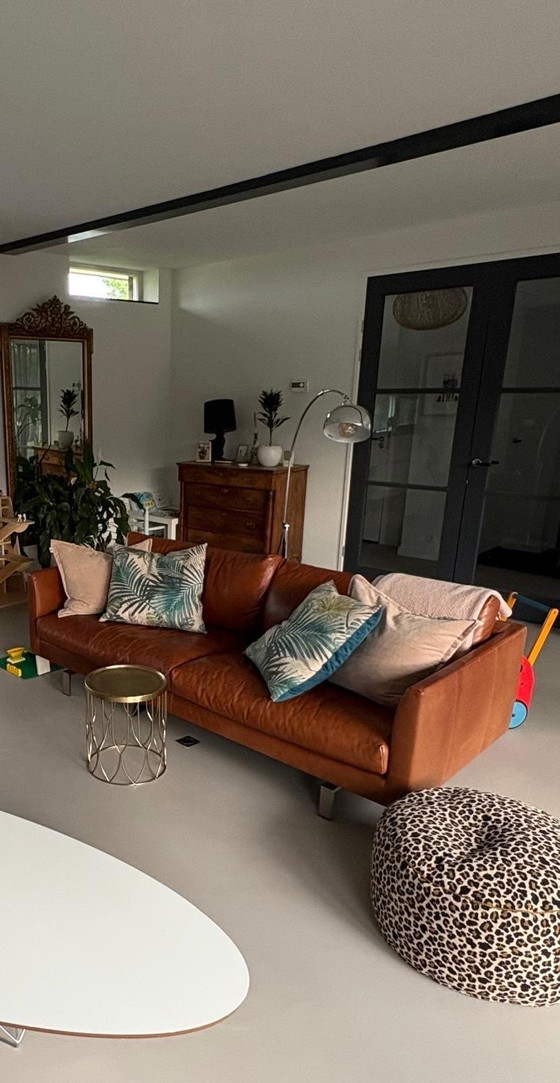 Image 1 of Montis Axel 3,5 posti in pelle Rancho