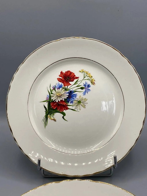 6 piatti piani Orchies Moulin des Loups, decoro con fiori di campo, maiolica francese vintage – decoratieve objecten