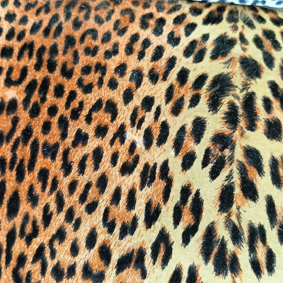 Image 1 of Sofá Biedermeier antiguo con ribete de leopardo