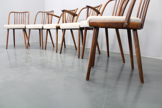 Image 1 of 1960 Antonin Suman Ensemble de six chaises de salle à manger en hêtre, restaurées