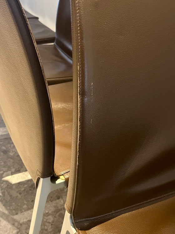 Image 1 of 6x Zanotta Lia stoelen - Roberto Barbieri 1999