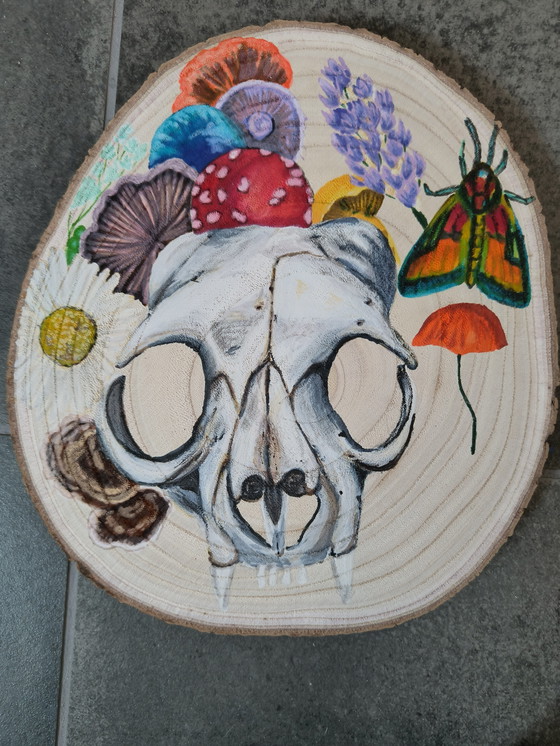 Image 1 of Disco de madera de tronco de árbol con pintura: calavera y naturaleza: setas, insectos