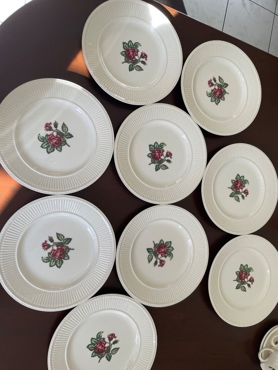 Image 1 of Wedgwood Moss rose