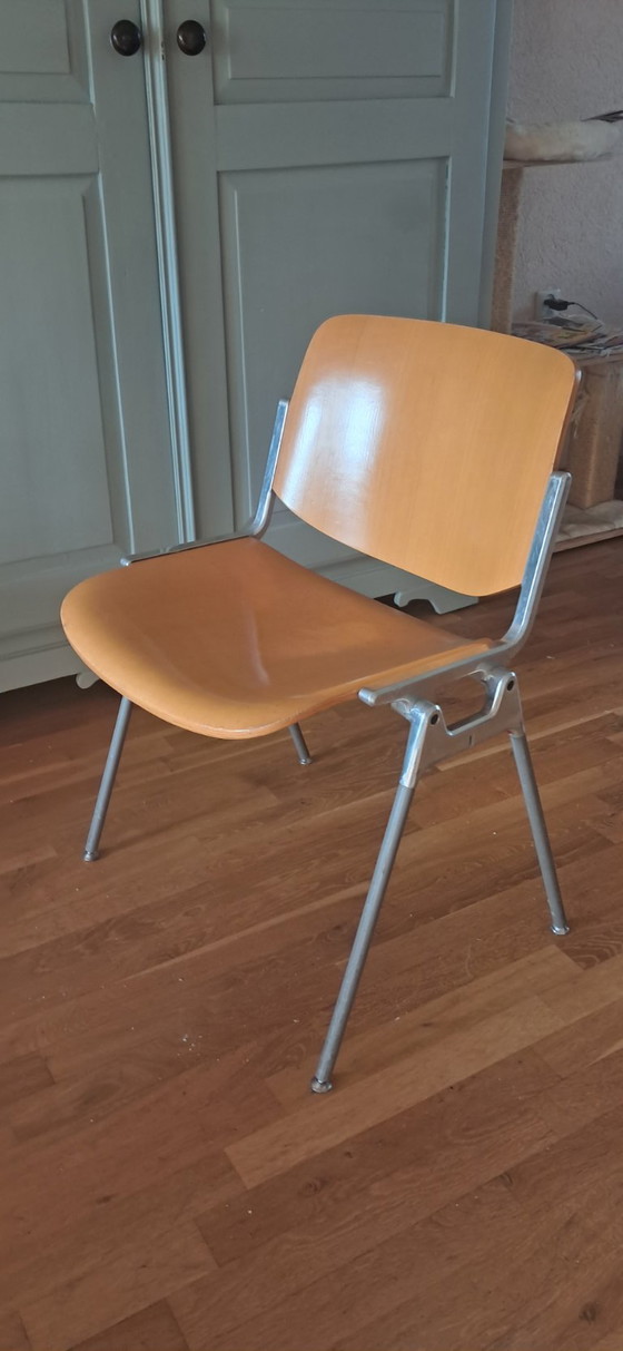 Chaises en bois Castelli d'occasion jsc 87/9, Chaises de salle à manger, Beige (photo 4 sur 5)