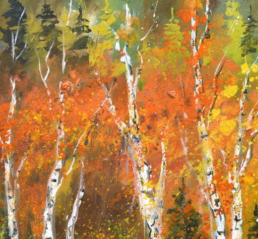 Aspen trees in autumn