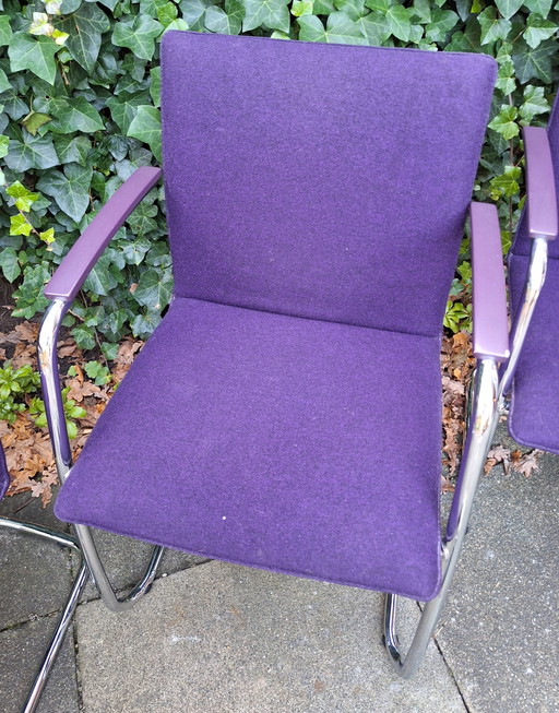 4x Leolux chairs purple wool