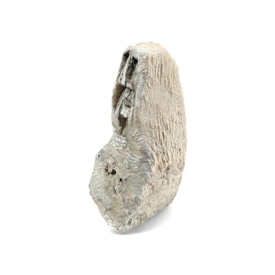 2 x Stein Bildhauerei des niederländischen Künstlers Ad Maas – Stone (photo 5 of 12)