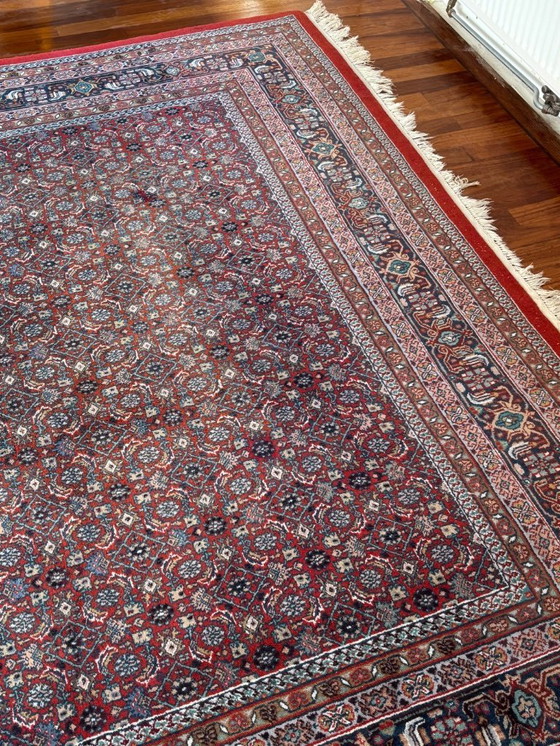 Image 1 of Noué à la main - Tapis persan Bidjar - 251 x 240 cm