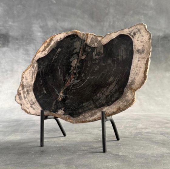 Image 1 of Bois fossilisé – Plaque en bois pétrifié avec un support sur mesure.