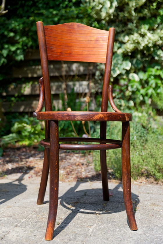 5x Vintage Fischel Thonet-style cafe chairs with pressed seats – Dining chairs, Wood (photo 4 of 18)