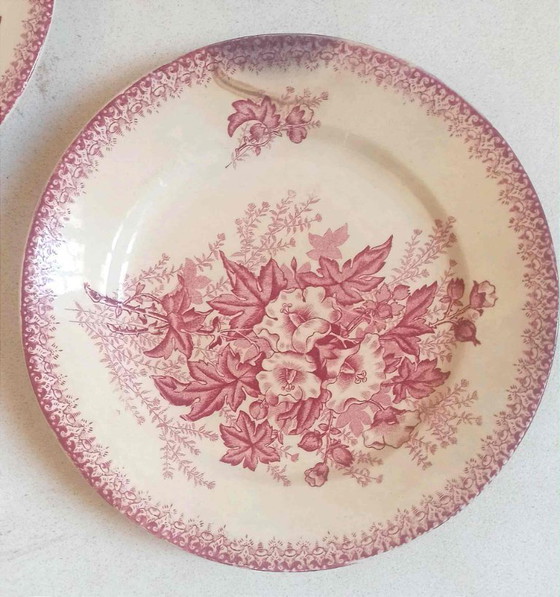 Image 1 of Set of 8 Terre de Fer plates, Eglantines pattern, late 18th century, 22.5 cm diameter