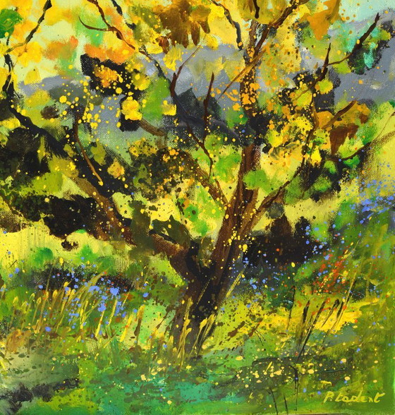 Image 1 of Deux arbres