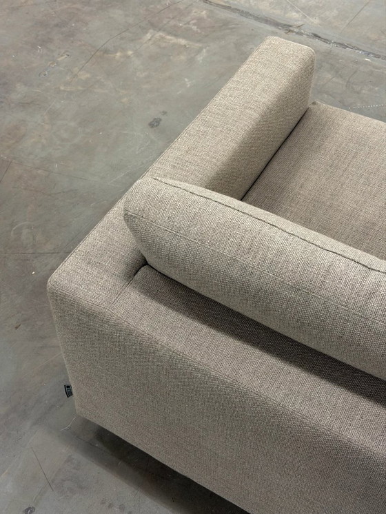 Image 1 of Linteloo Mauro | Tortora