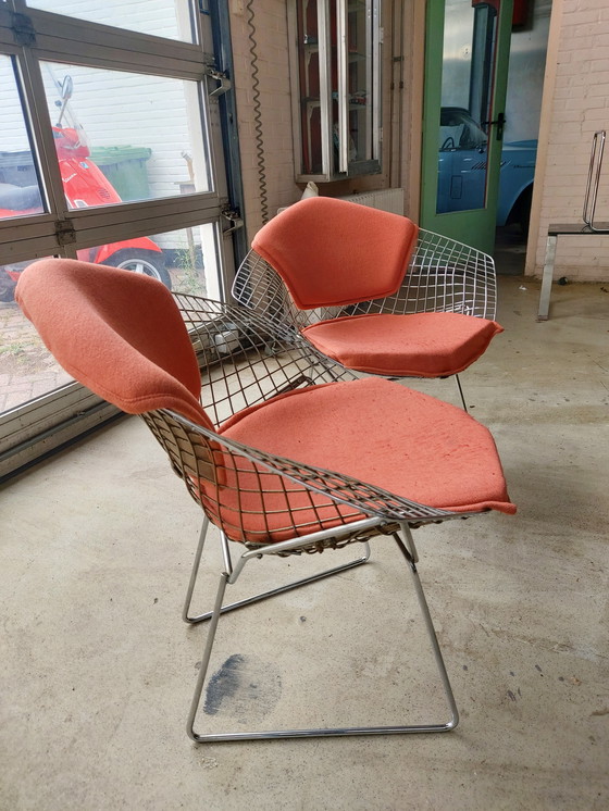 Image 1 of Bertoia Diamantstühle Knoll