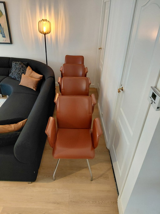 6 sedie in pelle di Enzo Luca