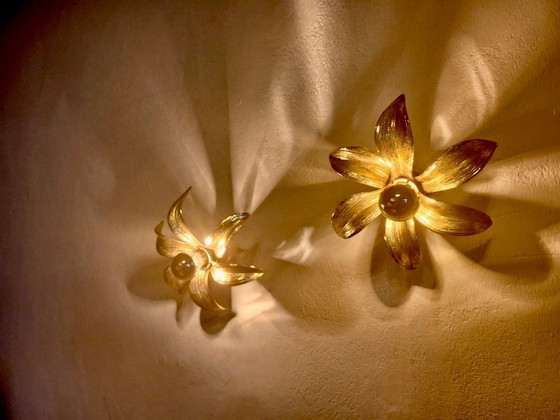 Image 1 of Par de apliques de pared de latón macizo con forma orgánica, de mediados de siglo, década de 1970.