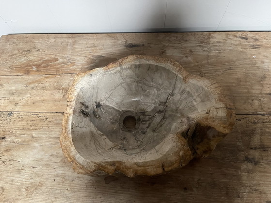 Lavabo en bois fossilisé. Bois fossilisé – Décoration, Stone, Wood (photo 3 of 5)