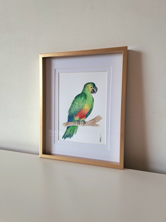 Image 1 of Aquarell-Papagei (Original) | Goldfarbener Rahmen