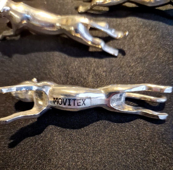 Image 1 of Jaguar messenleggers verzilverd 