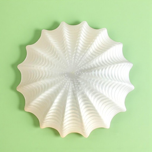 Frosted glass round flush mount light in shape of Sea Urchin shell