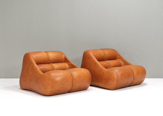 Image 1 of 2x poltrone Ciuingam di De Pas, D'Urbino, Lomazzi per BBB Bonacina- 1967