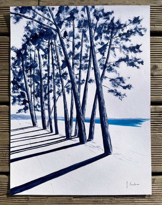 Image 1 of Oost-Indische inkt op natuurlijk papier 300g Onderwerp: Cap Coz Formaat 40x30 cm.