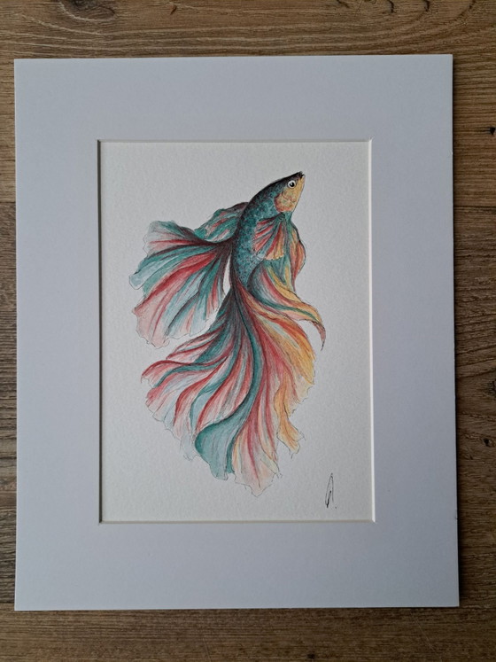 Pittura acquerello pesce Betta Halfmoon | Con cornice, Dipinti e disegni, Carta, Multicolore (foto 3 di 5)