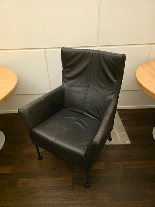 Sedie in pelle Montis - nere e marroni