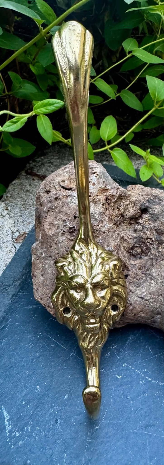 2 lion coat hooks in solid brass Art Nouveau – Coat racks (photo 3 of 6)