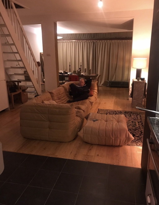 Ensemble canapé Ligne Roset Togo