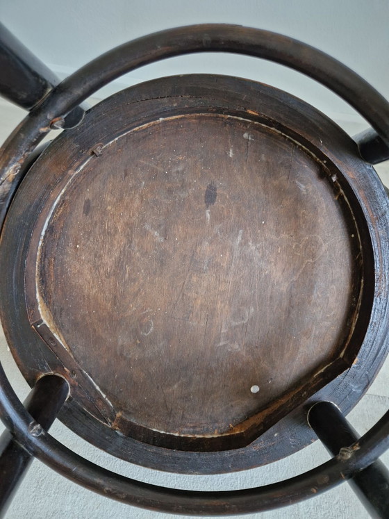 Sedia Art Nouveau in legno curvato con pirografia floreale – Sedie da pranzo (photo 4 of 5)