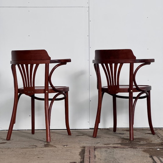 Image 1 of Paire de chaises hongroises Sellaton, années 2000 — Design contemporain