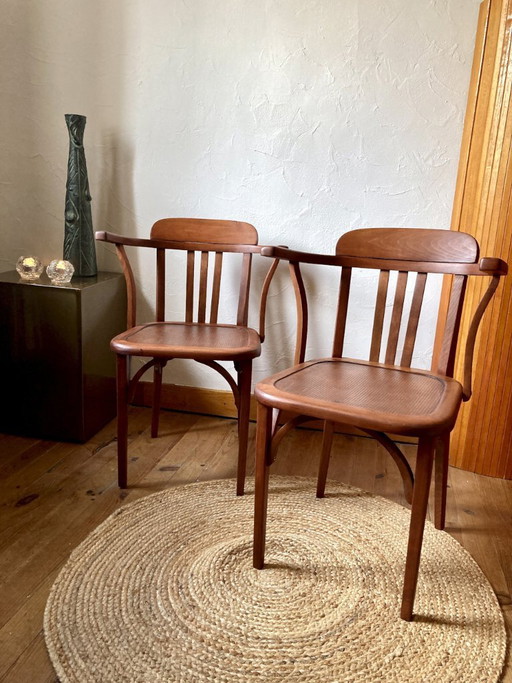 Par de sillas Stella vintage – madera, década de 1950