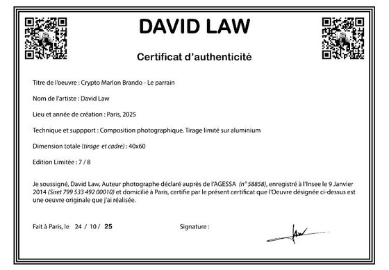 Image 1 of David Law - Marlon Brando ‘The Godfather’