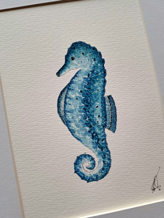 Original Seahorse Watercolor Painting | Including Frame, Paintings & Drawings, Paper, Blue (photo 2 of 5)