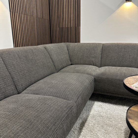 Image 1 of Montel viano