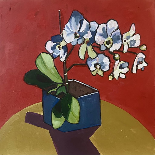 Orchid 